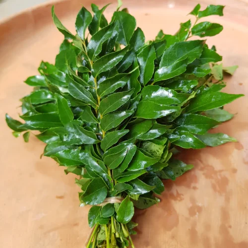 Fresh Curry Leaves 1 Bunch