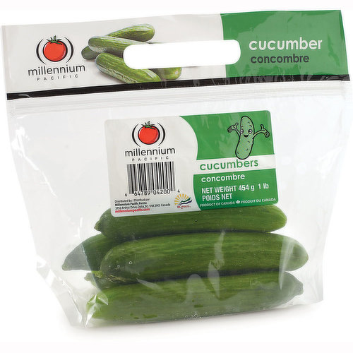 Cucumbers - Mini 1Lb/ 454g
