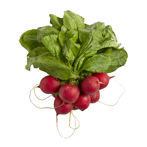 Red Radish 1 bunch