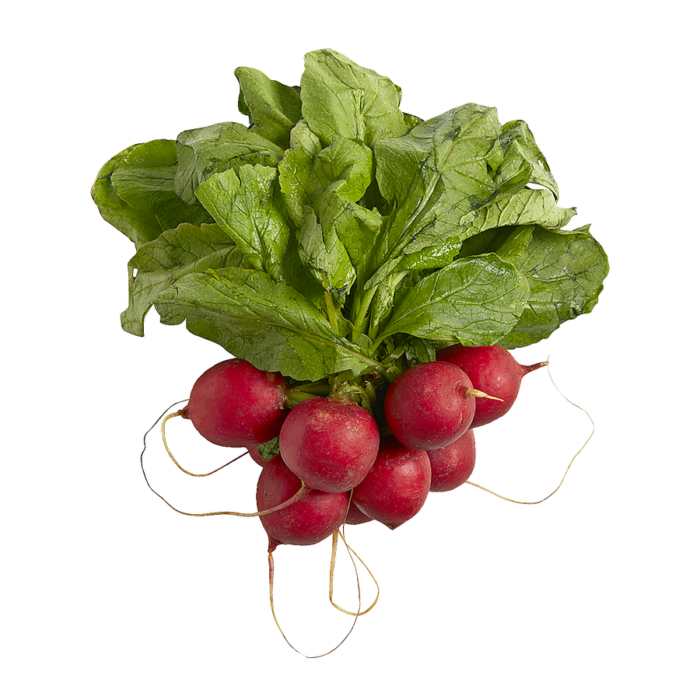 Red Radish 1 bunch
