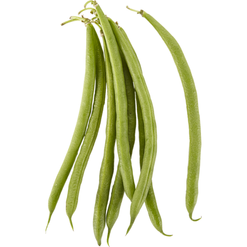 Green Beans  1Lb/ 454g