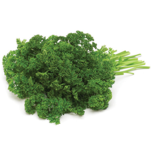 Parsley, Curly, Fresh, Sold in bunches