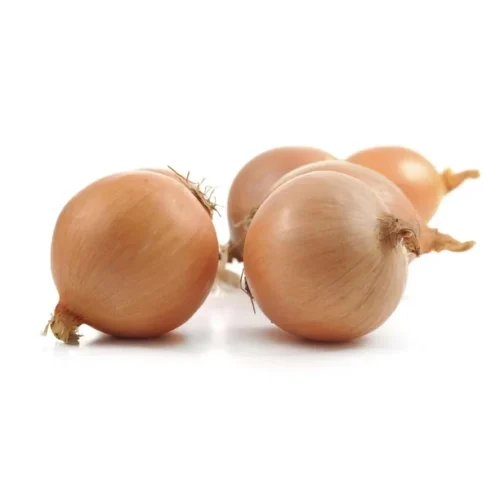 Yellow Onion 1Lb/ 454g