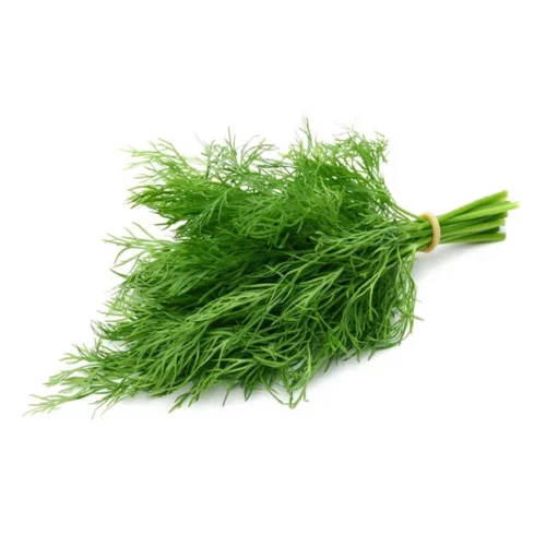 Dill, 1 Bunch